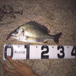 みんなでチニング