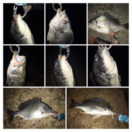 淀川キビレゲーム 七夕ラッシュ