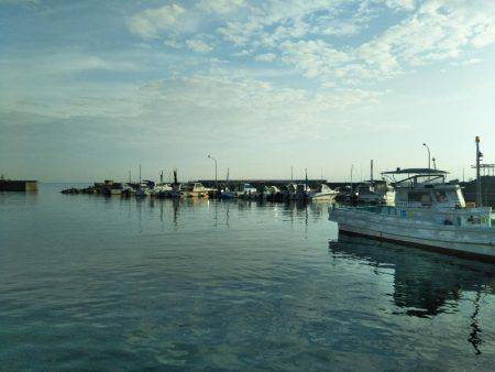 7月の海上釣堀オーパ!!