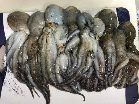 とうとう爆釣！