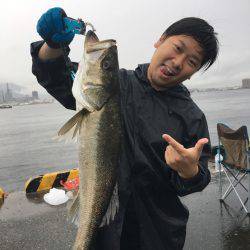 のませでやったりました。