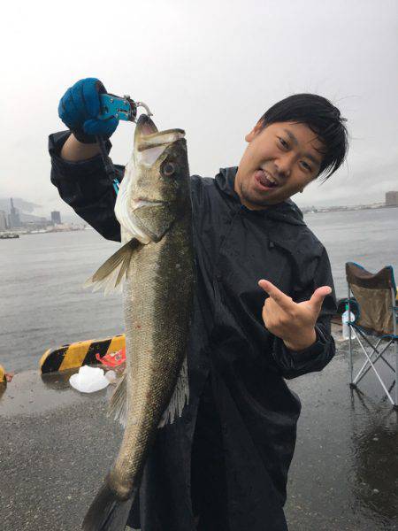 のませでやったりました。