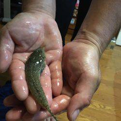 キスはいづこへ、、、