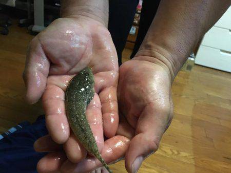 キスはいづこへ、、、