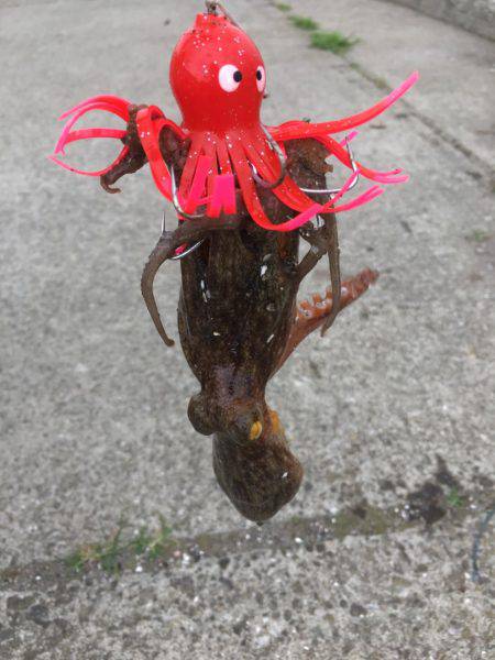 オクトパッシング