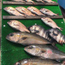 海上釣堀カタタ