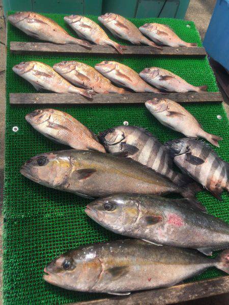 海上釣堀カタタ