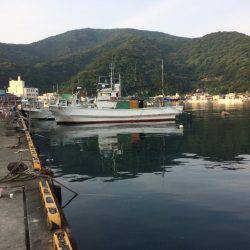 戸田港 中央桟橋 サバ アジ カサゴ