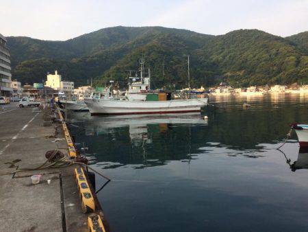 戸田港 中央桟橋 サバ アジ カサゴ