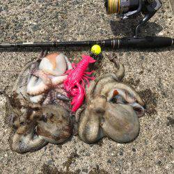 相変わらず厳しい