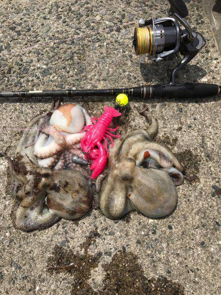 相変わらず厳しい