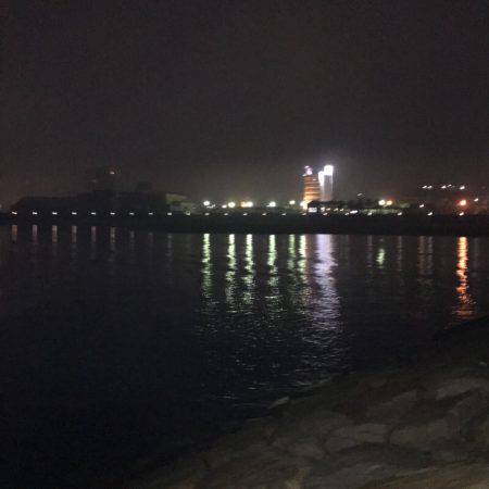 朝霧の大蔵海岸に行って来ました！！