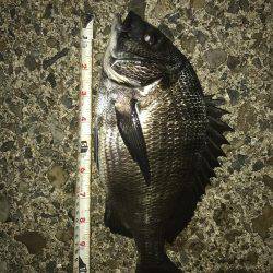 久しぶりのハネ