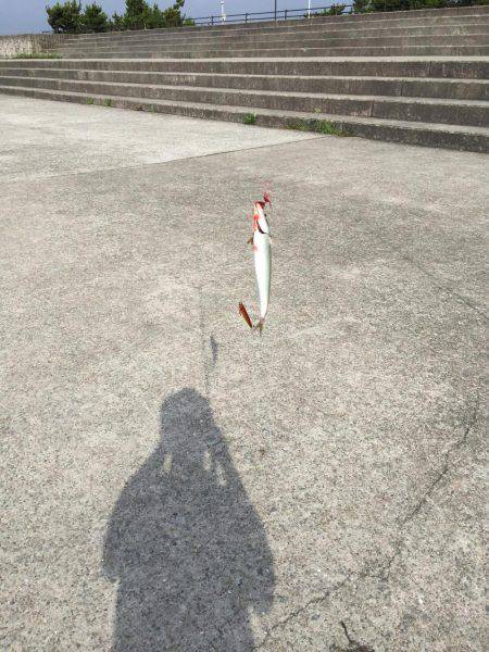 ツバスをつりたかったが。。。