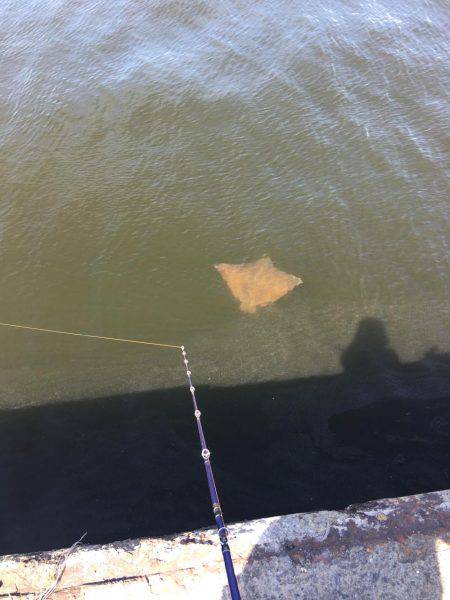 オクトパッシング