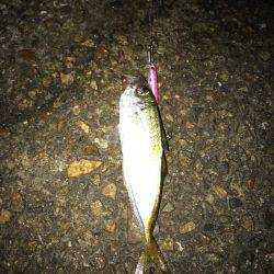 アジリング・サバリング・ガシリング