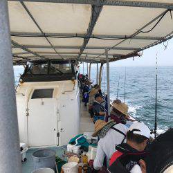 タコ  釣り船きもと  中潮