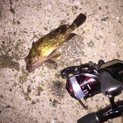 ノーザンフィッシュ