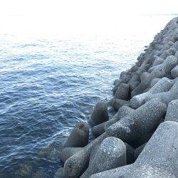 やっとホームで