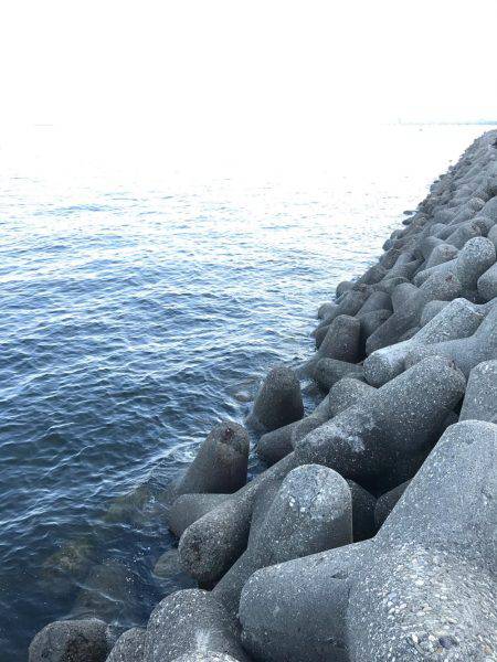 やっとホームで