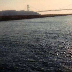 コブダイ狙いがガシラのみ