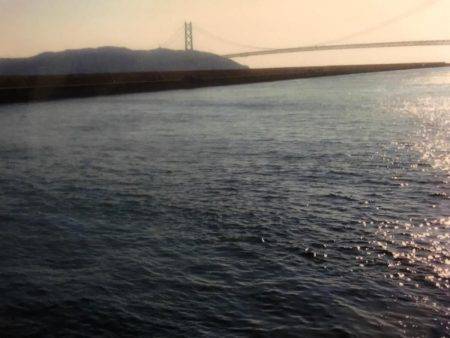 コブダイ狙いがガシラのみ