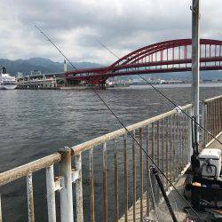 ライトショアジギング