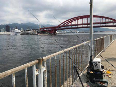 ライトショアジギング