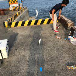 四日市港inサビキ