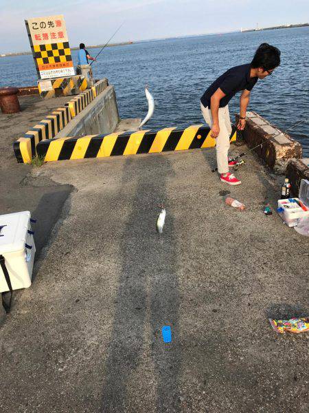 四日市港inサビキ