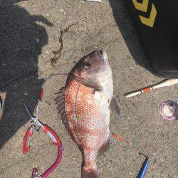 マリーナシティ海洋釣り堀