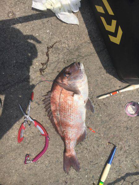 マリーナシティ海洋釣り堀