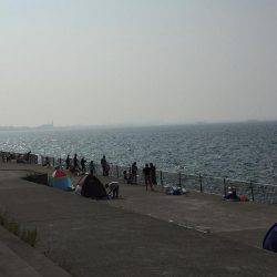 子どもとサビキ釣り