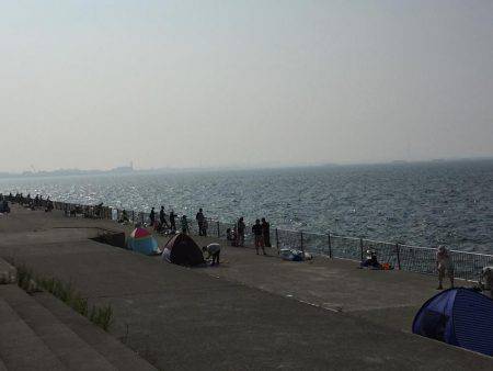 子どもとサビキ釣り