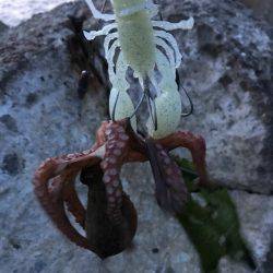 先週から、どうなったかな？