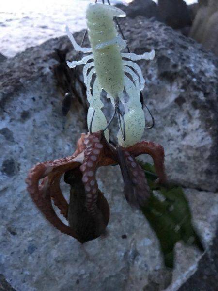 先週から、どうなったかな？