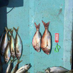 鯛ラバチャレンジ！＆ギガアジ！