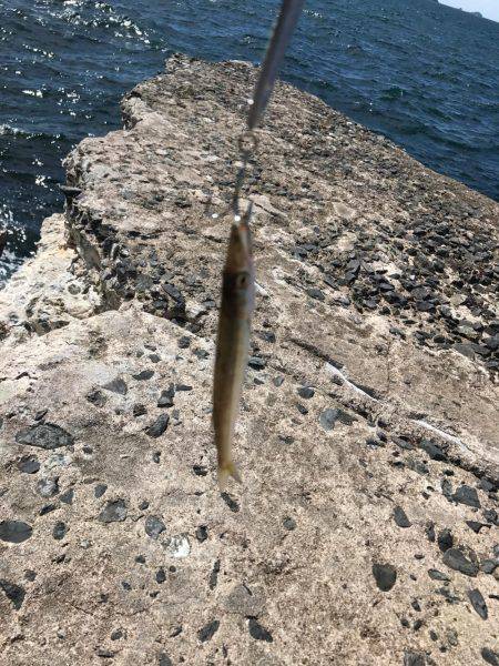 ライトショアジギング