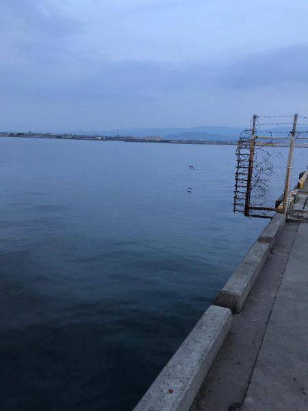 久しぶりのアジング！