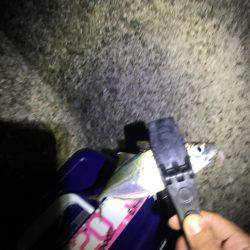 フロートアジング