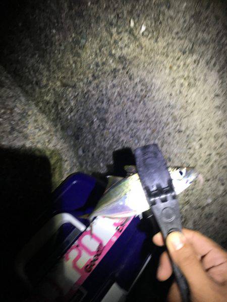 フロートアジング