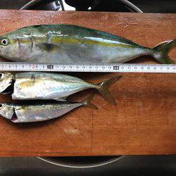 太刀魚からの〜ツバスリベンジ！