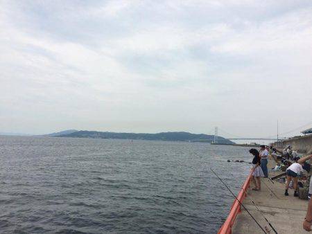 海の日凱旋ならず。