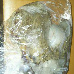 人の方が多いんじゃね？