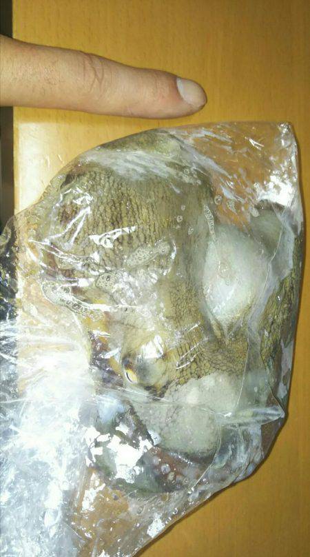 人の方が多いんじゃね？