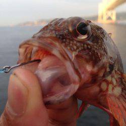 アジュール舞子でガシリング！！