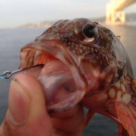 アジュール舞子でガシリング！！