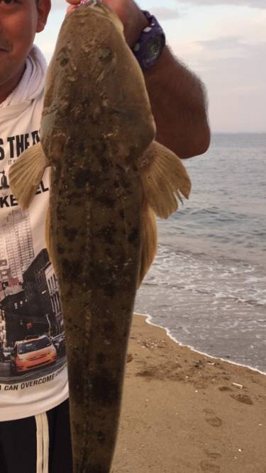 夕まずめIN鈴鹿サーフ