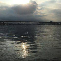 サビキチャレンジ