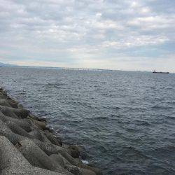 ライトショアジギング